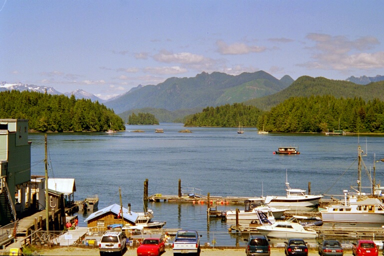 Tofino 5