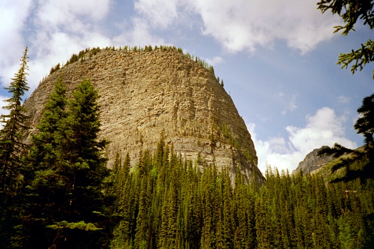 Big Beehive