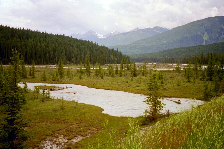 Sunwapta Pass 1