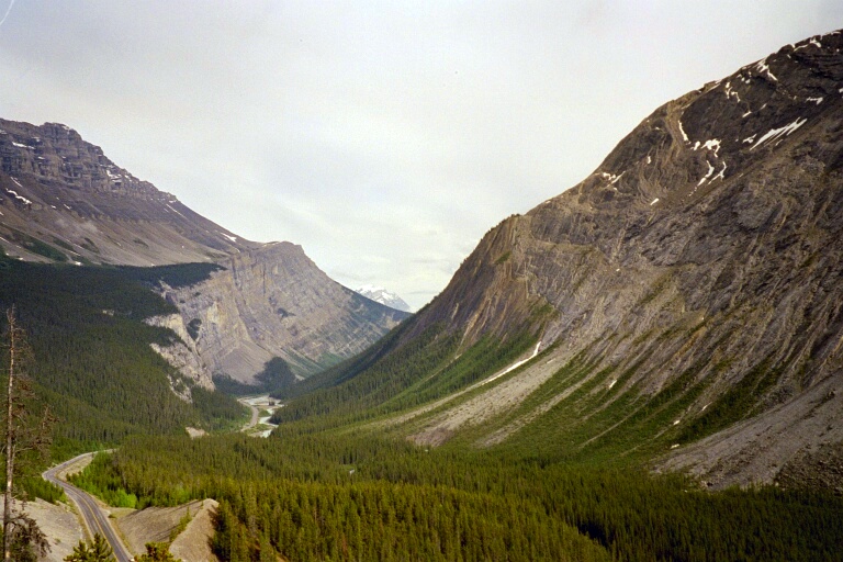 Sunwapta Pass 5