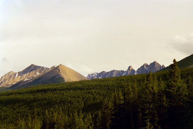 Columbia Icefields nach Jasper 2