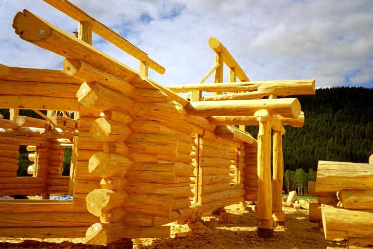 Loghomes 100 Miles House 5