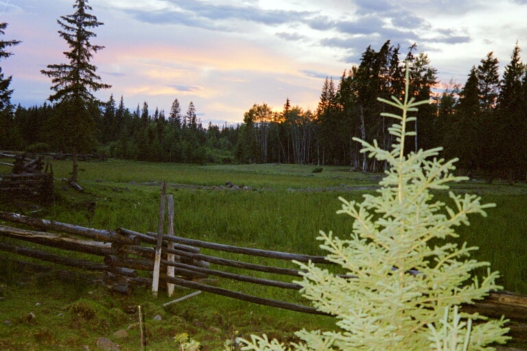 Meadow Springs Ranch 3