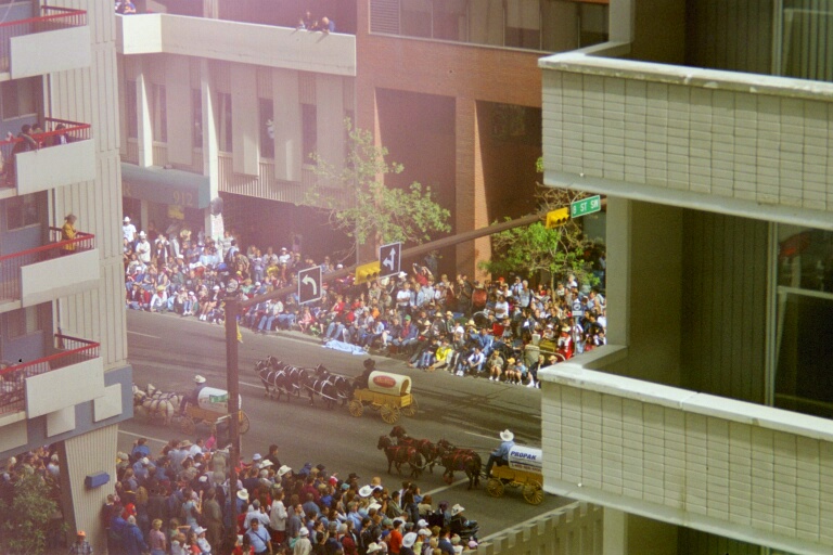Stampede Parade 9