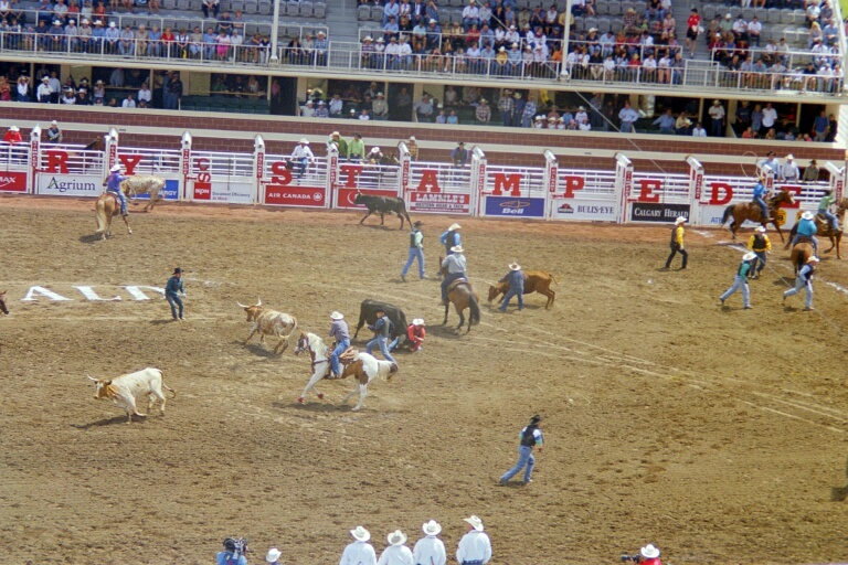 Tie-Down Roping 5
