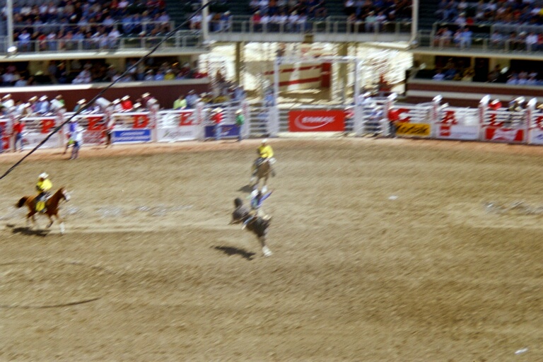 Bareback Riding 7