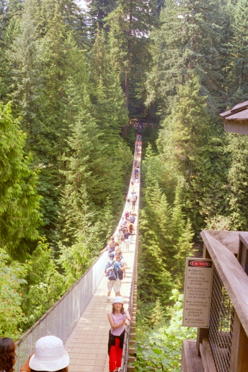 Caipilano Suspension Bridge 1