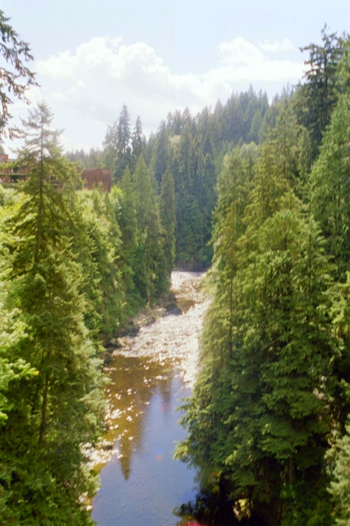 Caipilano Suspension Bridge 3