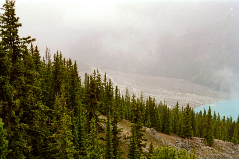 Peyto Lake 3