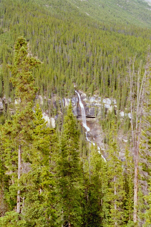 Sunwapta Falls 1