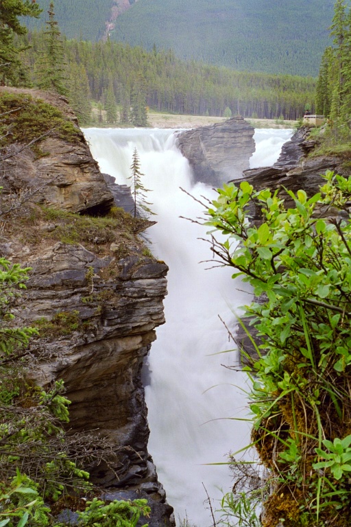 Athabasca Falls 2
