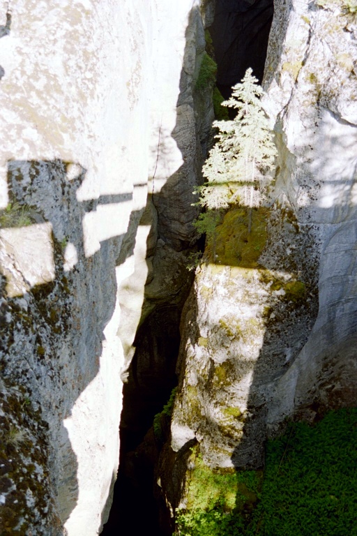 Malige Canyon 4