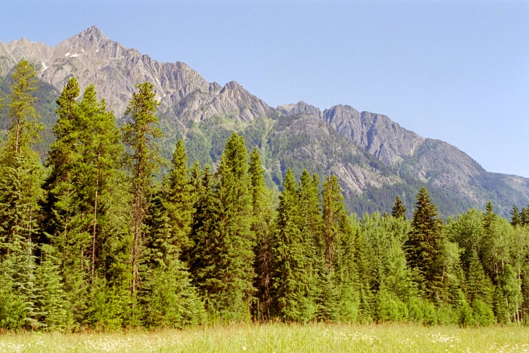 Mt. Robson 3