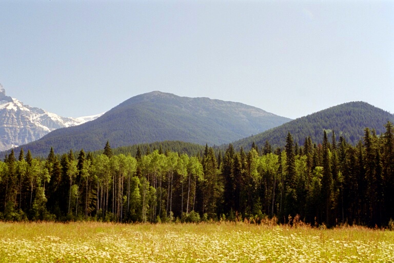 Mt. Robson 5