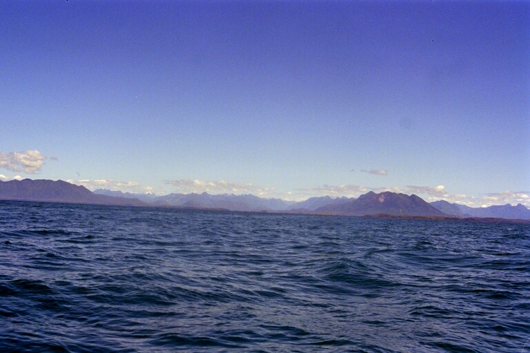 Whalewatching 1