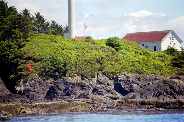 Whalewatching 8