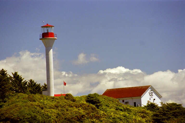 Whalewatching 9