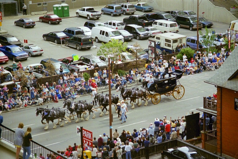 Stampede Parade 4