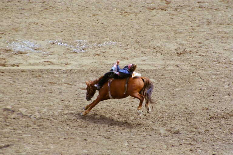 Bareback Riding 6
