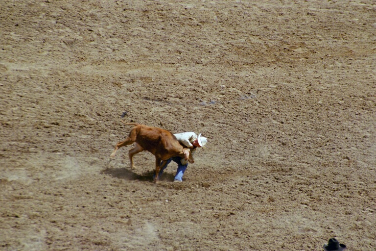 Tie-Down Roping 2