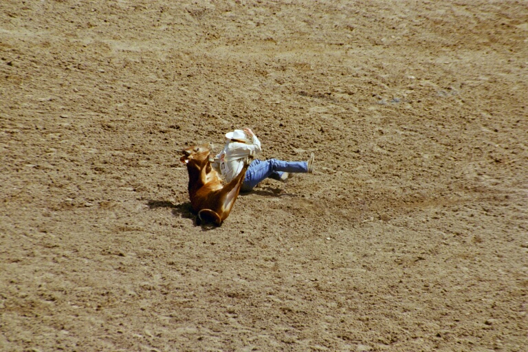 Tie-Down Roping 3