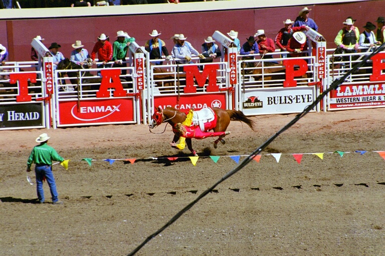 Bareback Riding 3
