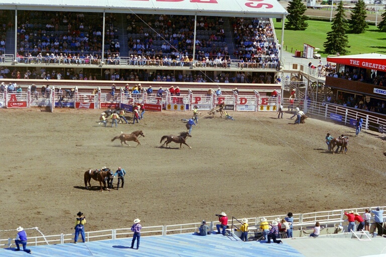 Bareback Riding 4