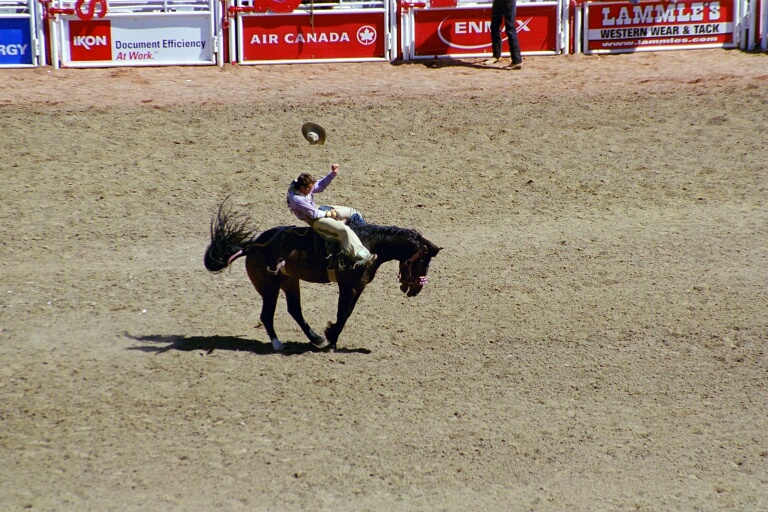 Bareback Riding 5