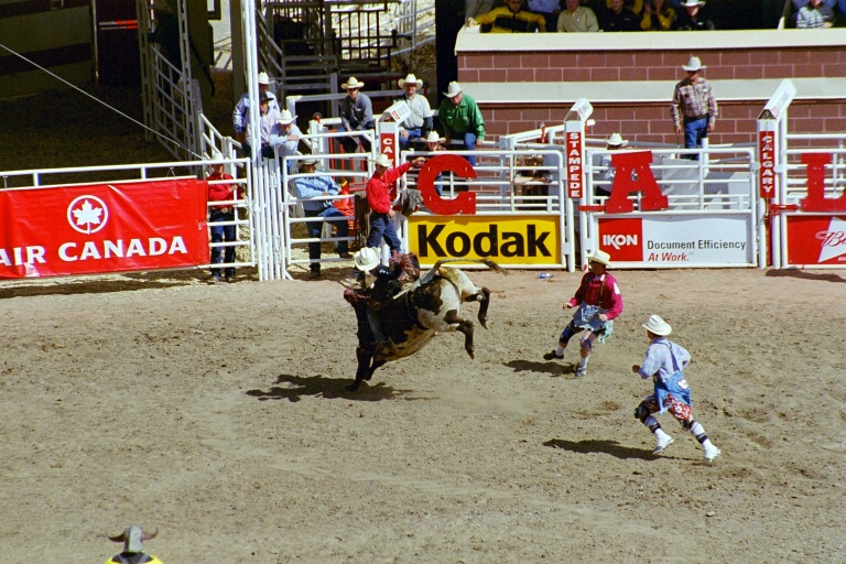 Bull Riding 1
