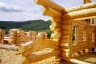 Loghomes 100 Miles House 6