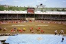 Stampede Rodeo 4