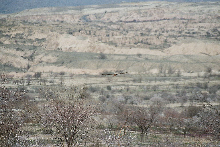 Landschaft um G&ouml;reme 6