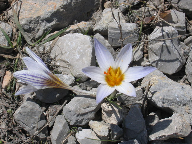 Taurus Gebirge Alacabel Pass 10