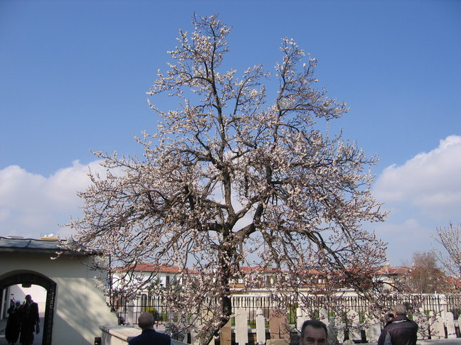 Mevlanakloster Konya 12