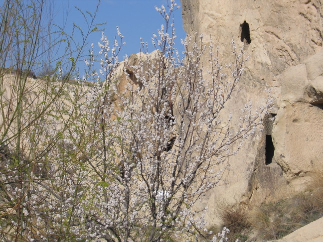 Felsenkirchen G&ouml;reme 2