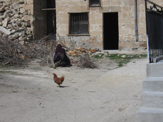 G&ouml;reme4