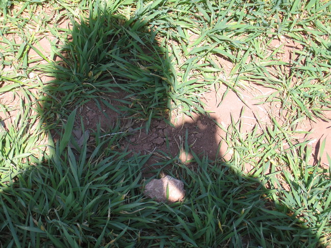 Camera Obscura Manualis