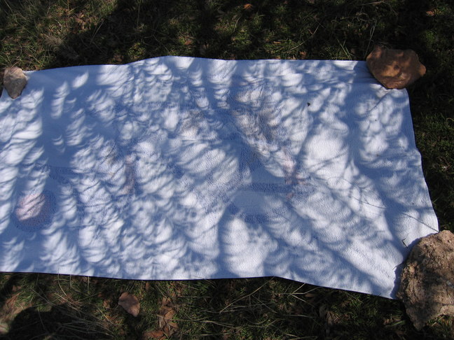 Camera Obscura Arbis 2