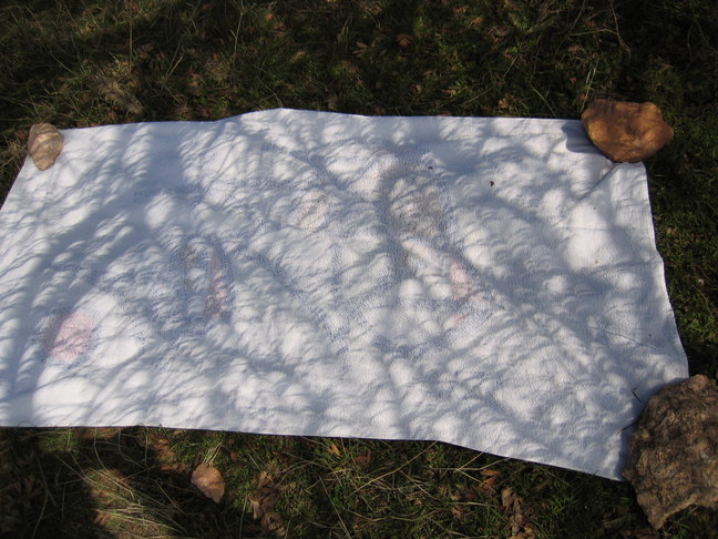 Camera Obscura Arbis 5