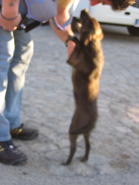 Avrasya Avanos Hotelvorplatz 15