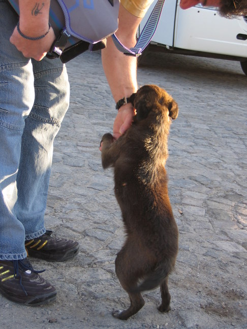 Avrasya Avanos Hotelvorplatz 16