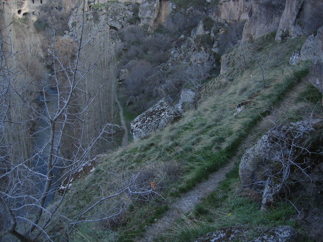 Ihlaratal 15