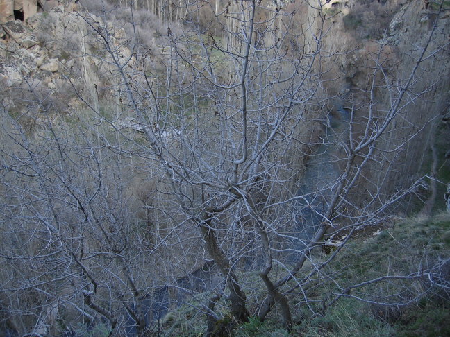 Ihlaratal 16
