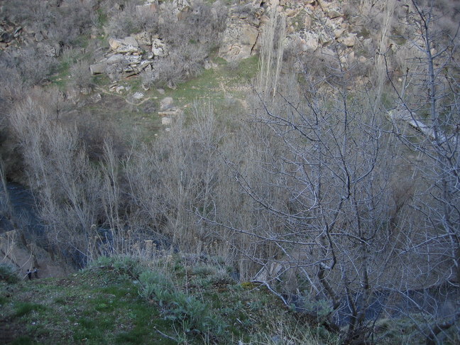 Ihlaratal 17