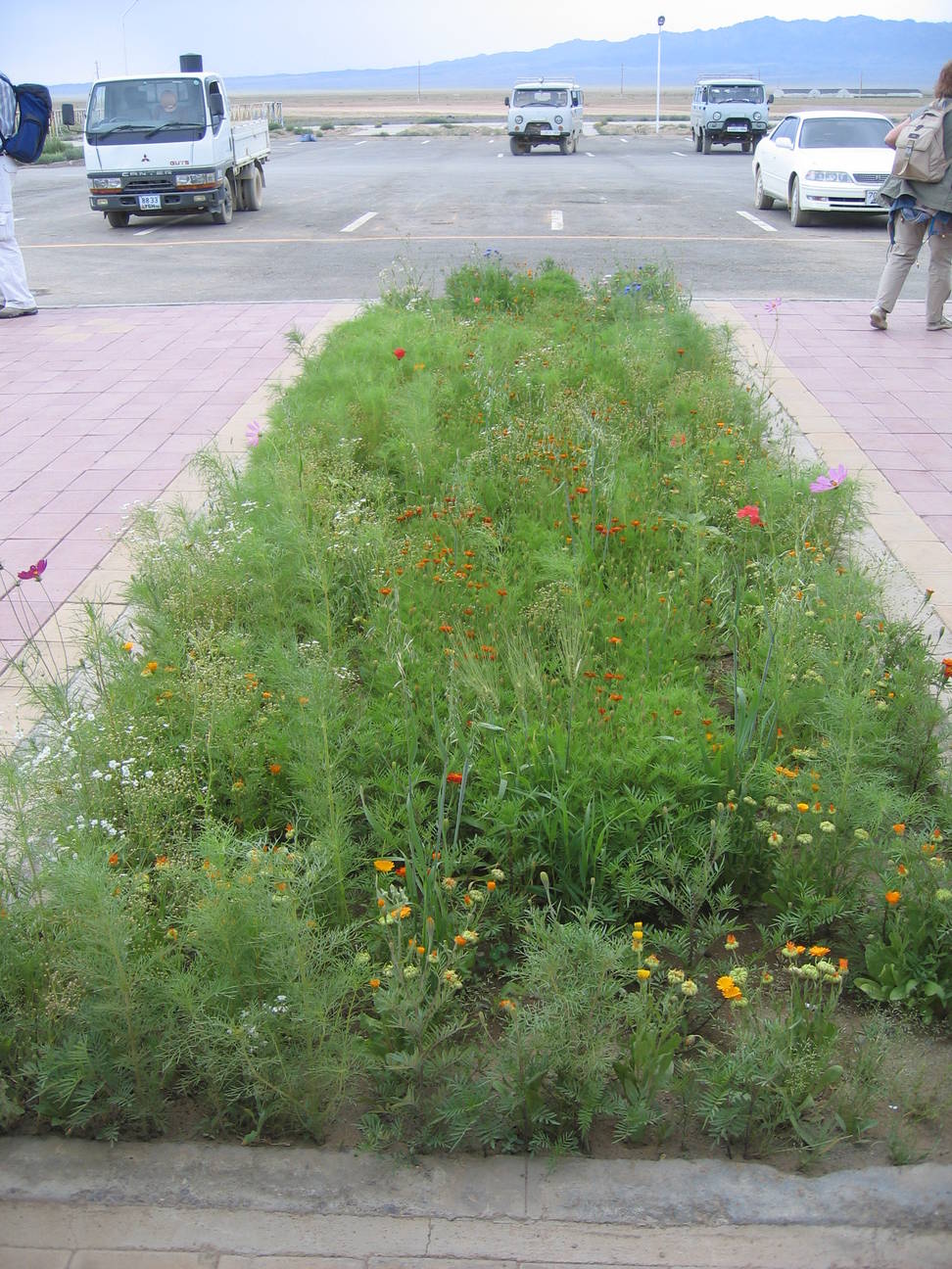 Flughafen Dalanzadgad 7