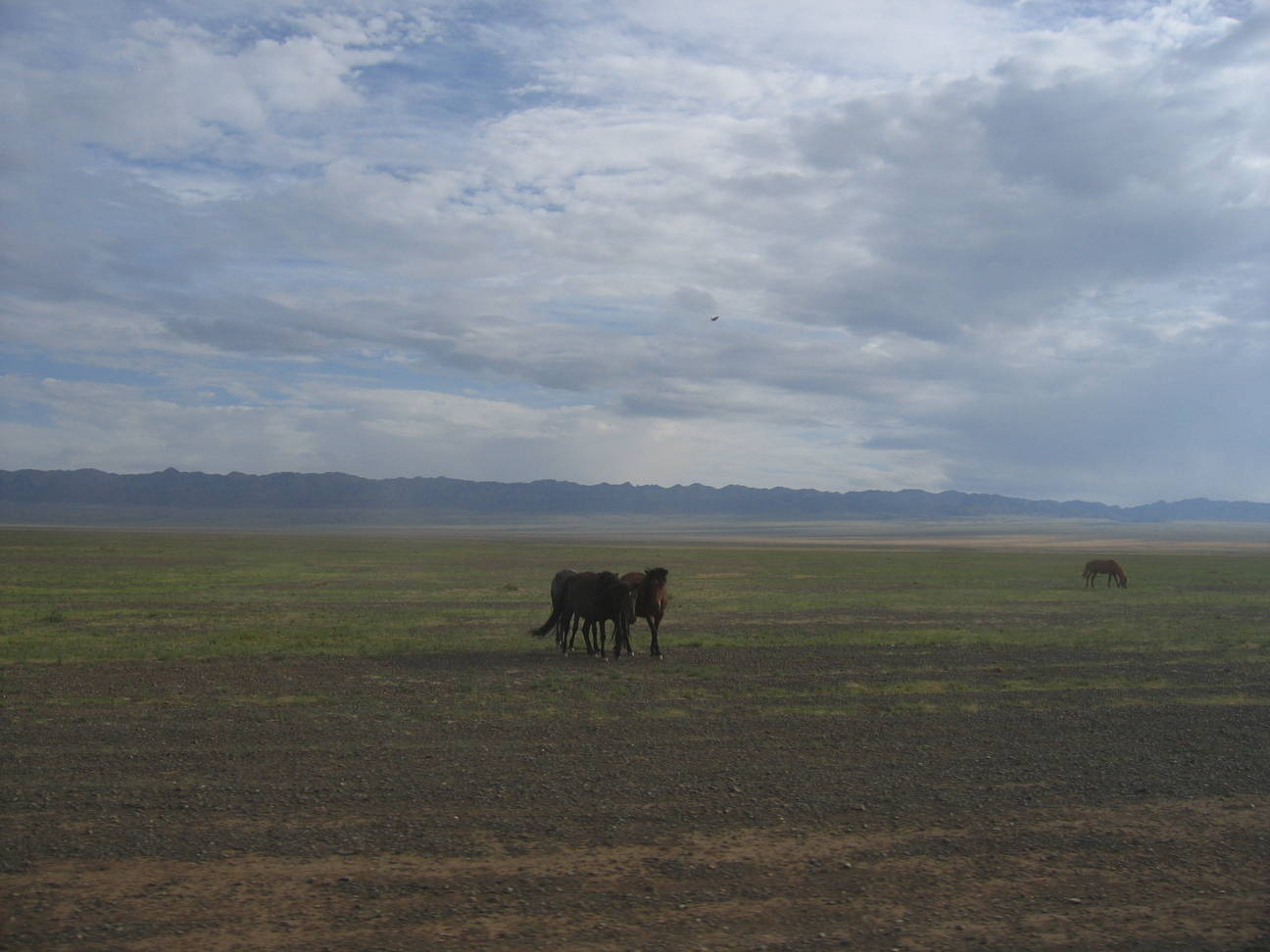 Fahrt Camp Desert Gobi 5