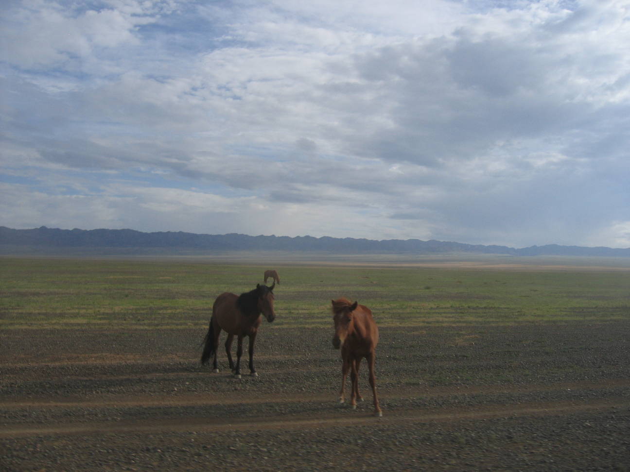 Fahrt Camp Desert Gobi 6