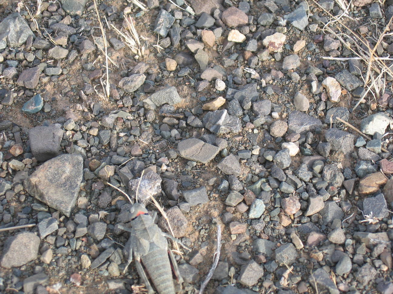 Fahrt Camp Desert Gobi 26