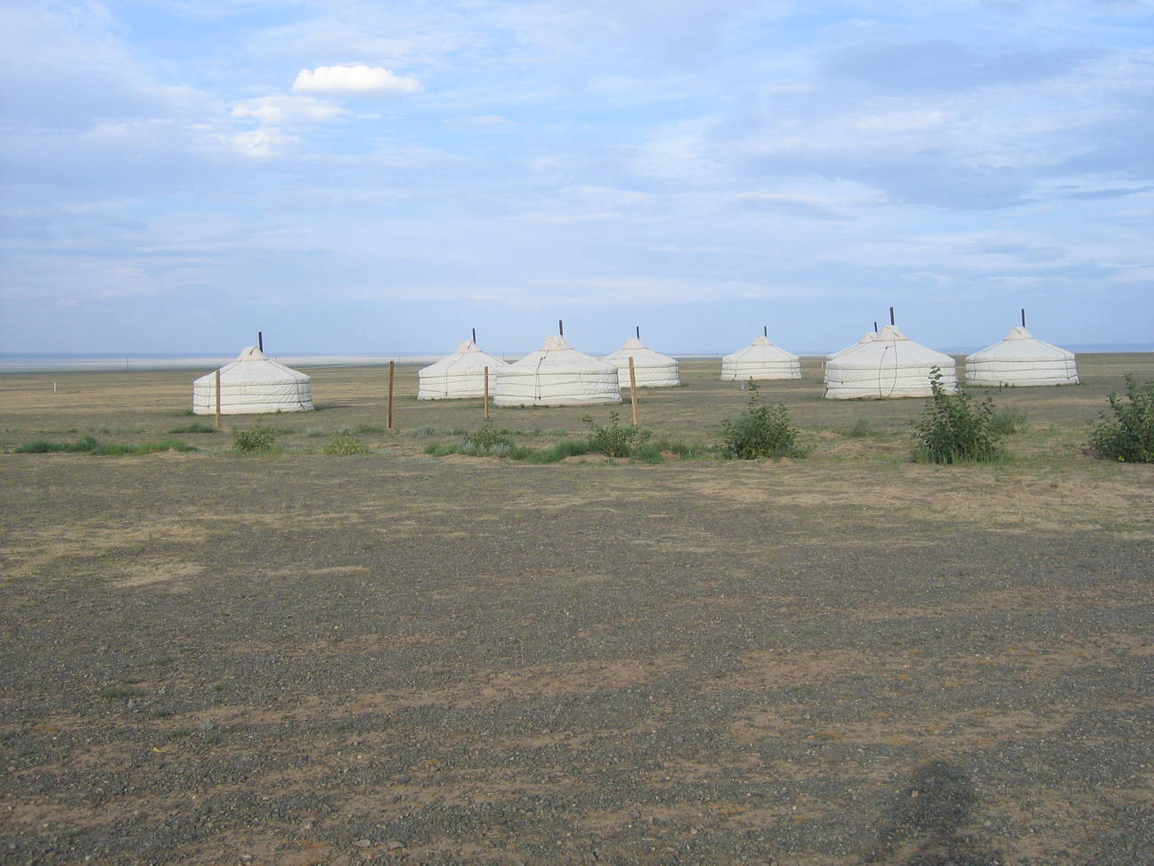 Camp Desert Gobi 2