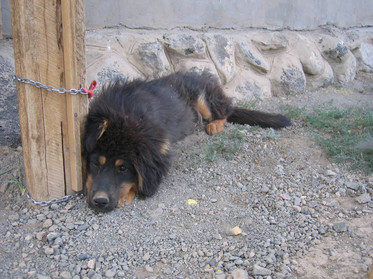 Camp Desert Gobi 9